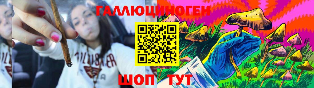 Псилоцибиновые грибы Magic Shrooms  Вход с VPN  Псилоцибиновые грибы ЛСД  Котовск 
